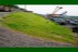 biotic_earth_107